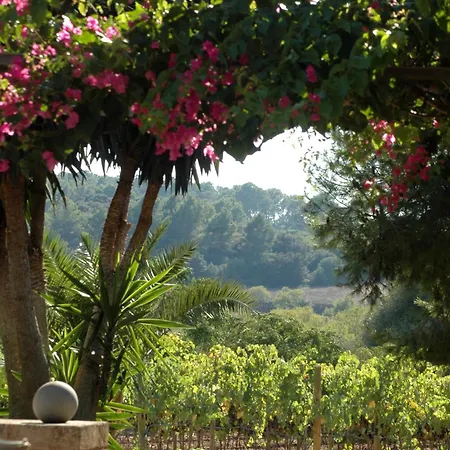 Oliver Moragues Grandhouse & Vineyard *