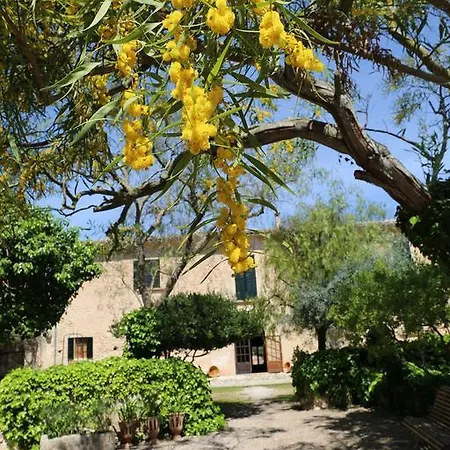 Oliver Moragues Grandhouse & Vineyard *
