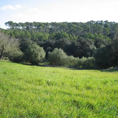 Oliver Moragues Grandhouse & Vineyard Venkovský dům Algaida (Mallorca)