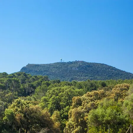 Oliver Moragues Grandhouse & Vineyard * Algaida (Mallorca)