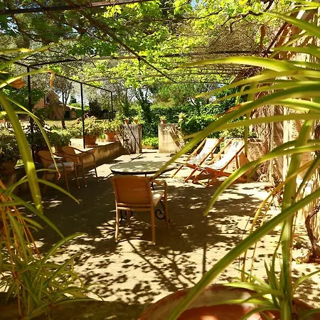 Oliver Moragues Grandhouse & Vineyard Algaida (Mallorca)
