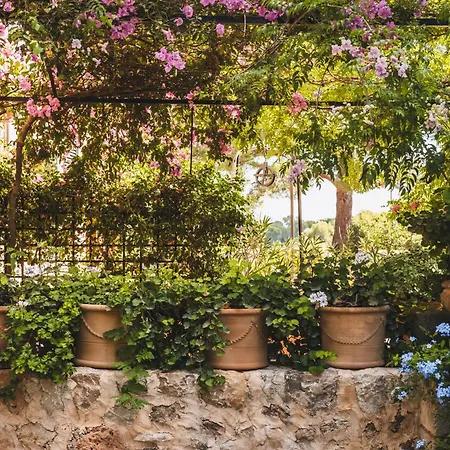Oliver Moragues Grandhouse & Vineyard