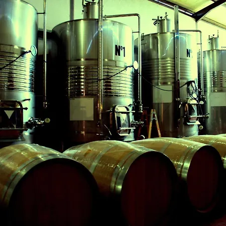 Oliver Moragues Grandhouse & Vineyard * Algaida (Mallorca)