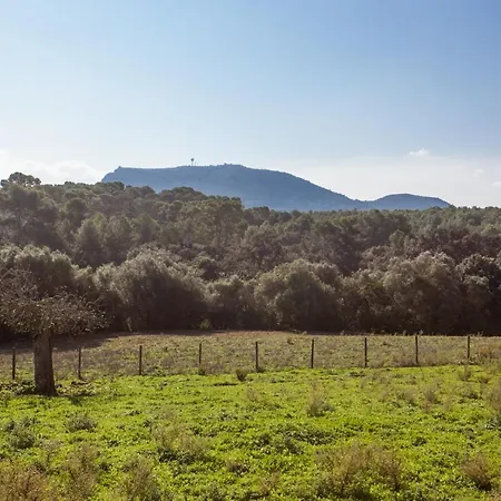 Oliver Moragues Grandhouse & Vineyard Algaida (Mallorca)