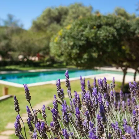Oliver Moragues Grandhouse & Vineyard * Algaida (Mallorca)